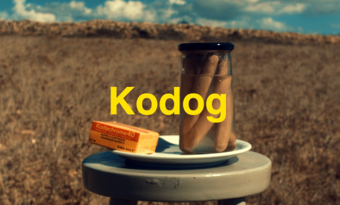 Kodog